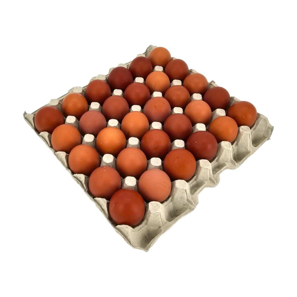 Skalæg 30 stk M/L brune