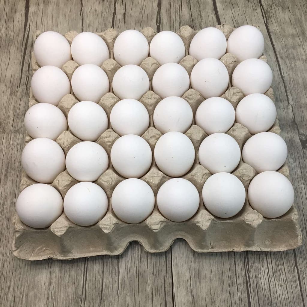 Skalæg 30 stk M